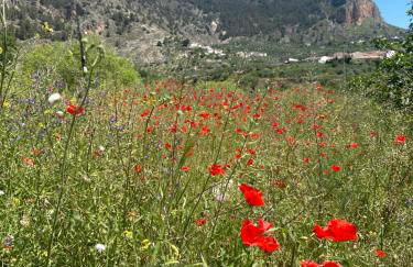 Cueva Ventica - Foto 70