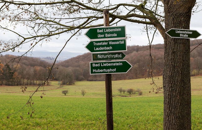 Finnhutte in Trusetal Near Waterfall - Foto 29