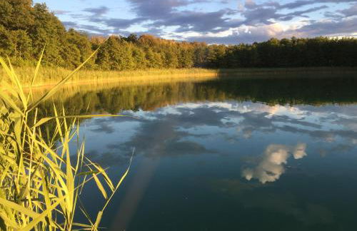 Castrum Bucowe - Foto 10