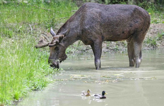 Penthouse Tauberblick Terrace - Foto 19