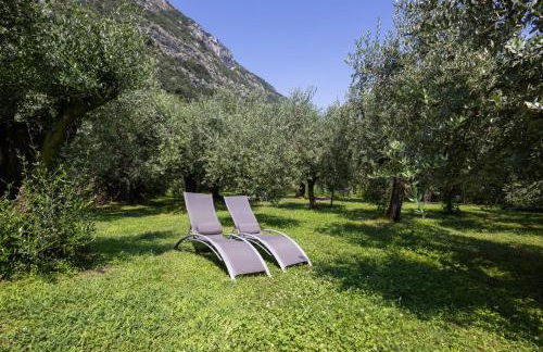 IseoLakeRental - L'Uliveto di Bea - Photo 26