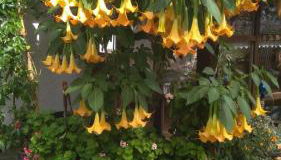 Ferienwohnung Moosegger - Foto 4