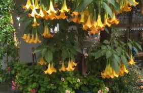 Ferienwohnung Moosegger - Foto 4