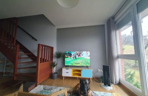 Nuevo apartamento de dos plantas - Foto 3