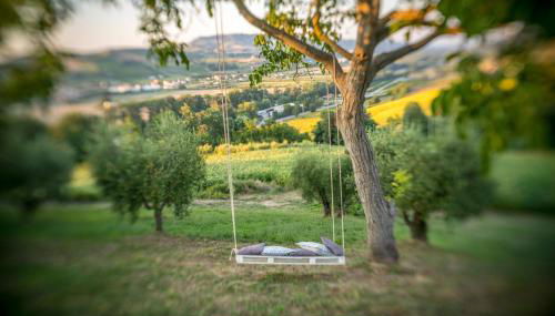 Agriturismo Annarella - Foto 4, Garden