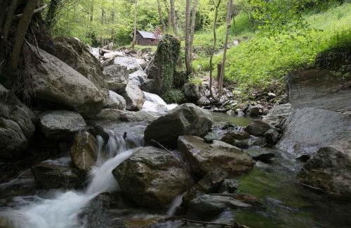 Les Pedres - Foto 51