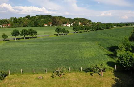 Ferienwohnung Schlieben - Foto 11