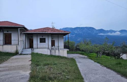 Ελαιώνας με θέα στο βουνό - Foto 1