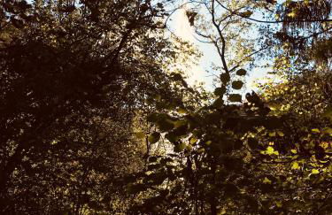 Komfortables Ferienhaus in Lichtenberg bei Hof im Frankenwald 400m vom See nahe Bad Steben - Foto 25