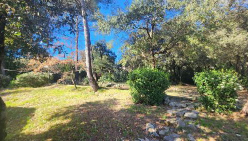 La Bastide Blanche Magnifique villa 5 étoiles 5 chambres et piscine privée sur 6500 m VAR - Foto 2, Garden