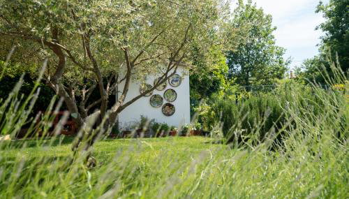 Villa Vita e Sole - Foto 5, Garden, Garden view