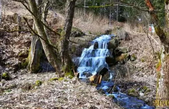 Ferienhaus in Wieda mit Garten - Foto 20