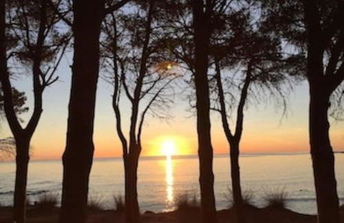 Bellissima villa Alessandra grande piscina privata giardino BQ posto auto - Foto 34