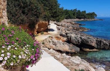 Sunny Terrace Zavala Hvar studio with terrace - Foto 25