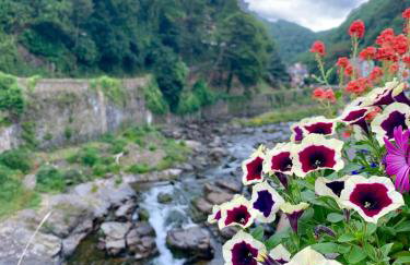 Honeysuckle Cottage - Foto 34