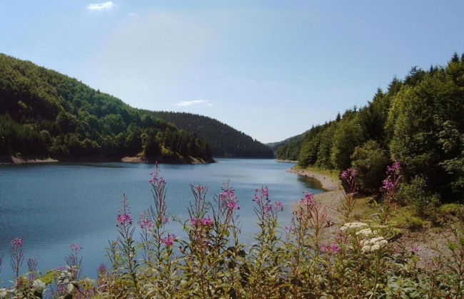 Small and Cozy Apartment in Frauenwald near Forest - Foto 27