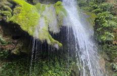 Gîte Ô Nature - Foto 57