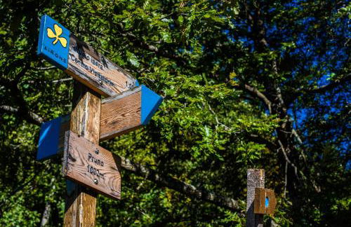 Alpeggio Pruno - Foto 13