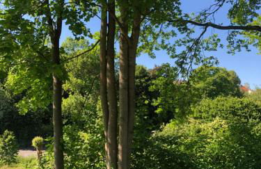 Apartment-47 Fulda - Photo 77