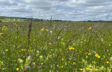 Eifel Moments - Photo 36