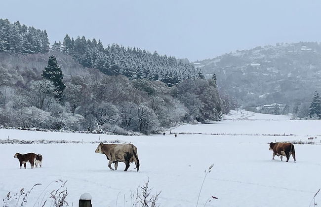 Traditional Highland Cottage Near Loch Ness-sleeps 6 - Foto 44
