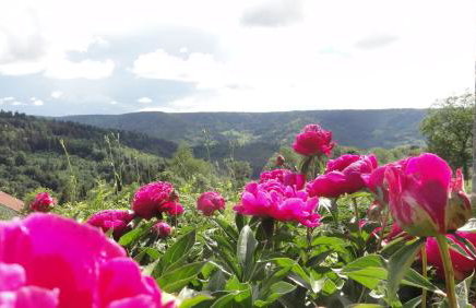 Gite le grenier du roc - Foto 22