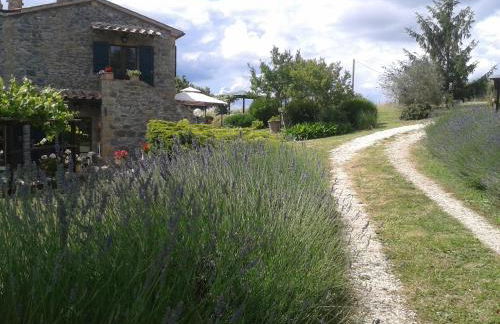 Agriturismo Cantinaccia di Sopra - Foto 56