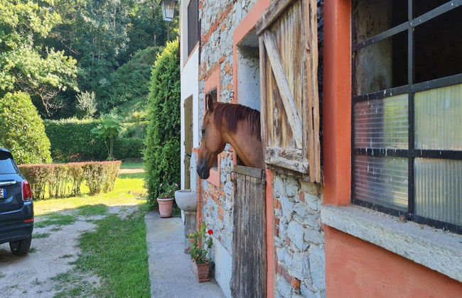 Timeless l Antico Mulino Della Bozza - Foto 27