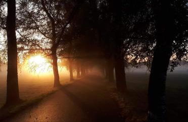 Ferienwohnung Nicole - Foto 15