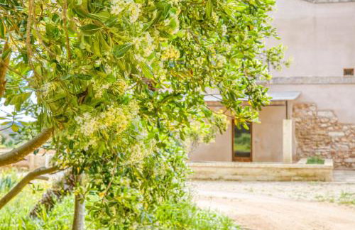 Masseria Scafazzi - Salento - Foto 13