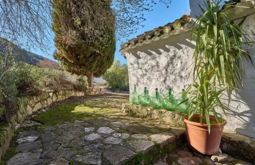 Casa Cruz Resort - Foto 13