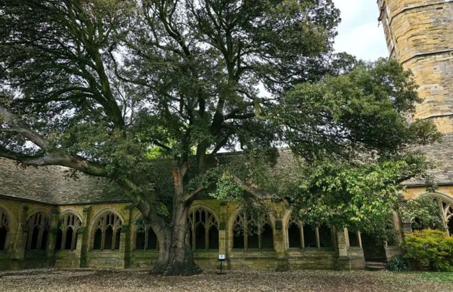 Tour de Harry Potter por Oxford - Foto 6