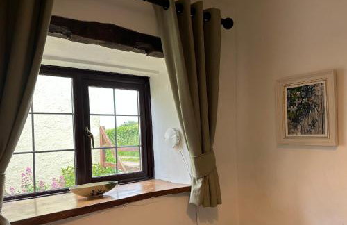 Countryside cottage near Crediton - Foto 14