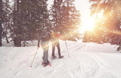 Cascade Village 301 Near Purgatory - North Star - in Durango CO - Foto 31