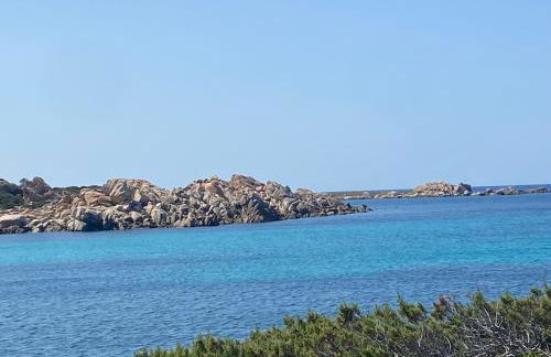 APPT T3 terrasse dans résidence bord de mer avec piscine - Foto 25