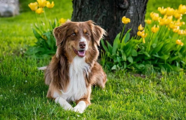 Mansion in Langhe With Pool and Winery Charm - Foto 23