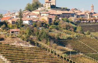 Tomati's House - Foto 37