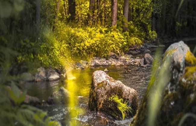 Modern Holiday Apartment With Large Garden Near the River Moselle - Photo 37