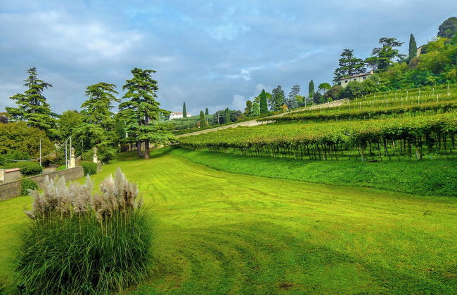 Il Vigneto, Verona, Pool, Wifi - Foto 50