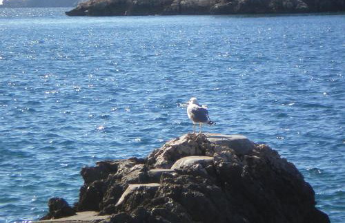 Villa Doris - Photo 36