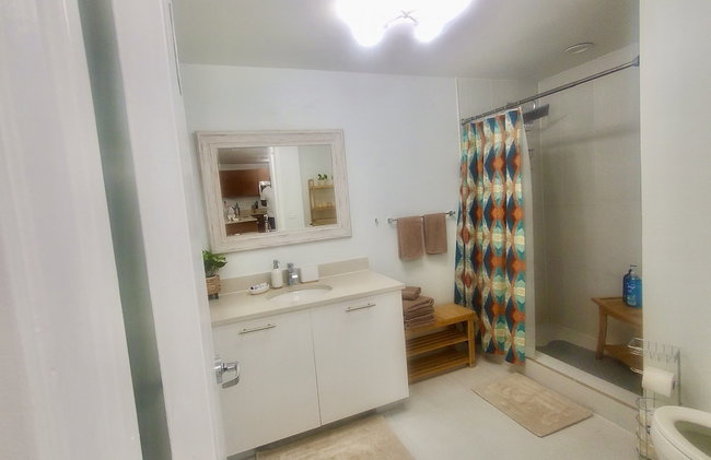 Beautiful 1BD 1BTH at Midblock FREE PARKING - Foto 37