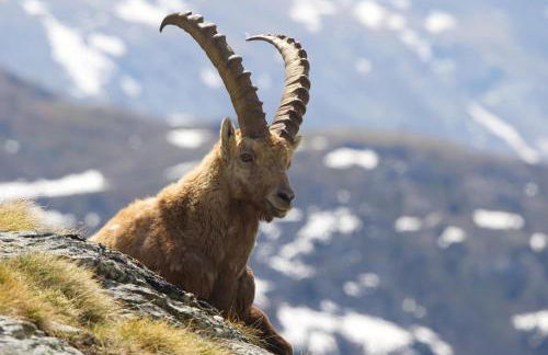 "Le Temps Suspendu" - Foto 70