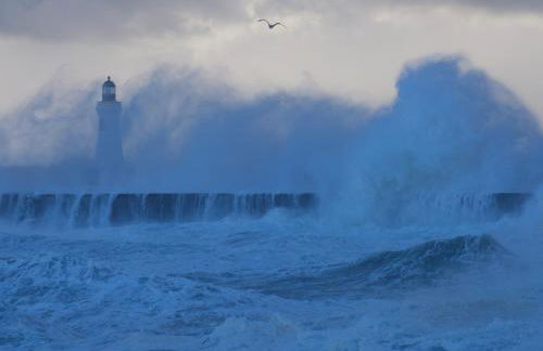 Fisherman's Cottage - Photo 29