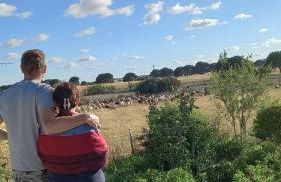 Monte Da Serralheira Agro Turismo - Foto 42