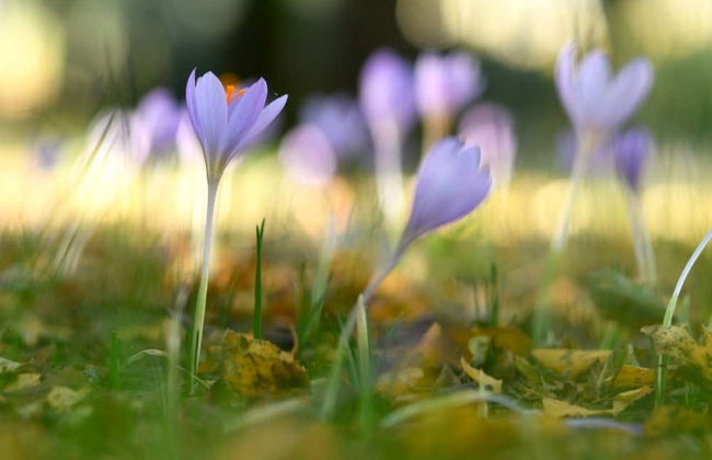 Senderismo por el Parque Natural do Alvão - Foto 3