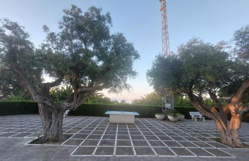 Gran Vista - playa y piscina - Photo 46