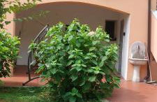 Appartamento Luigia Finalborgo bike room tour ebike trekking - Foto 23