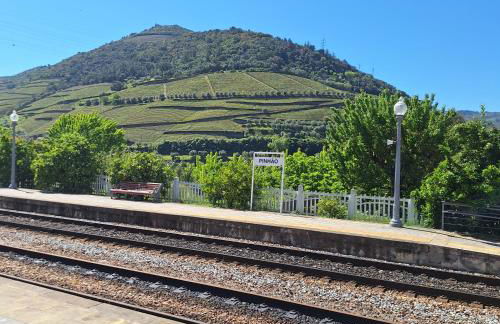 Pinhão House - Foto 45