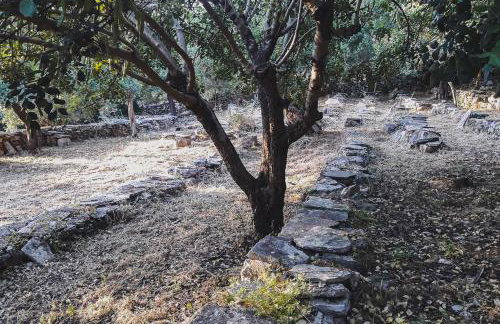 Lemon Tree Eco-Retreat - Foto 21