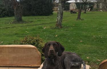 La Forge, Lieu des Chevilloux - Foto 66